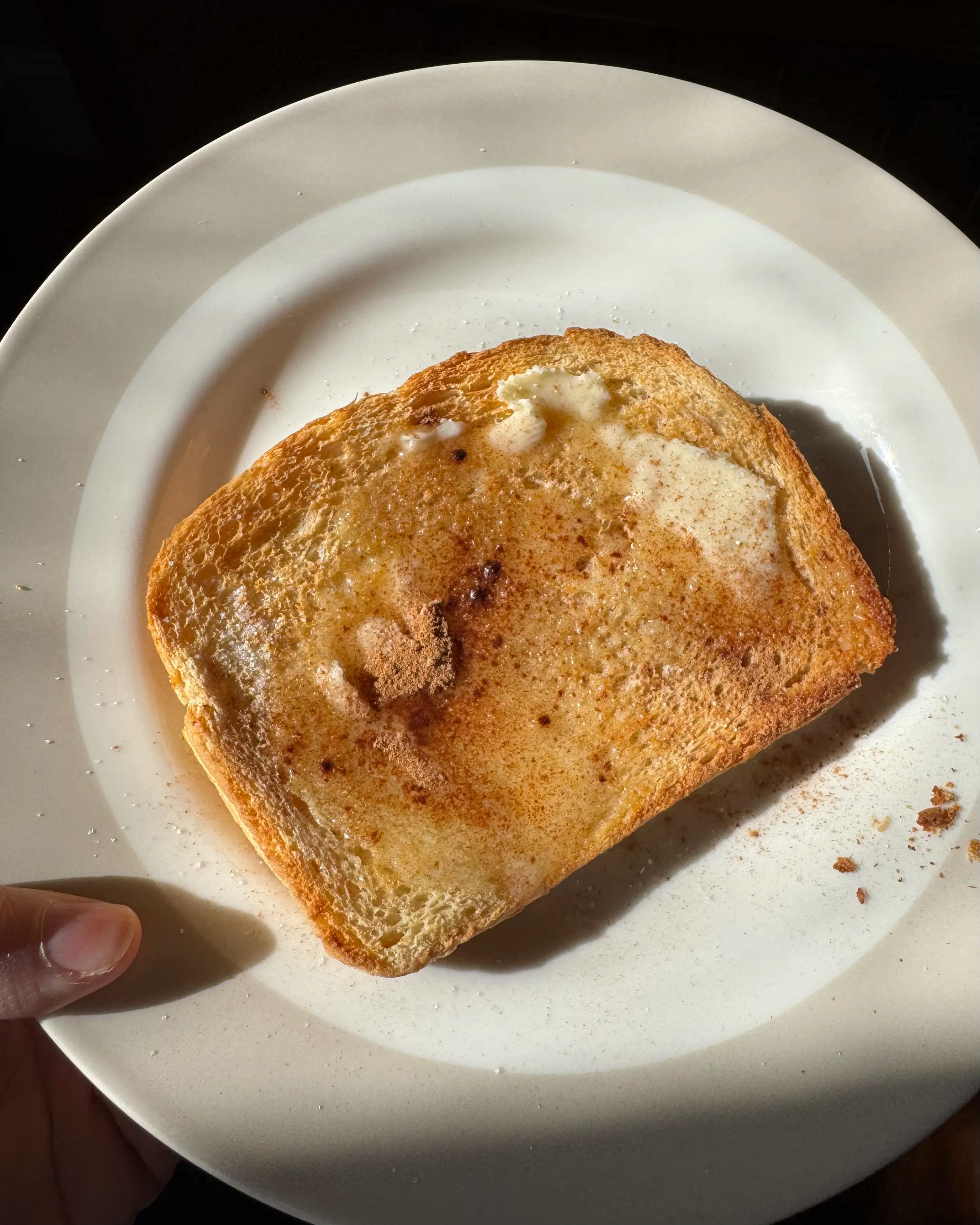 Cinnamon sugar toast