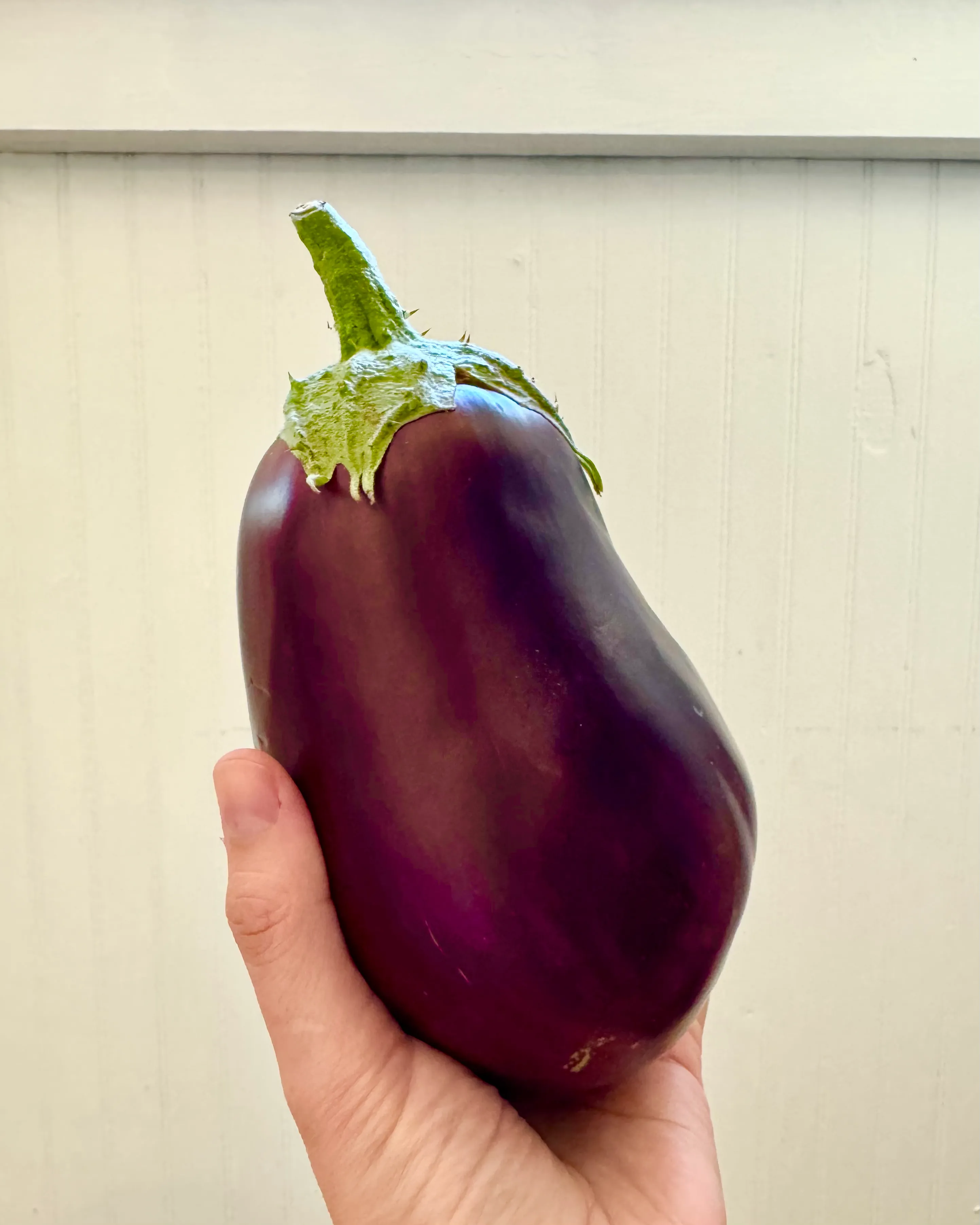 The perfect eggplant