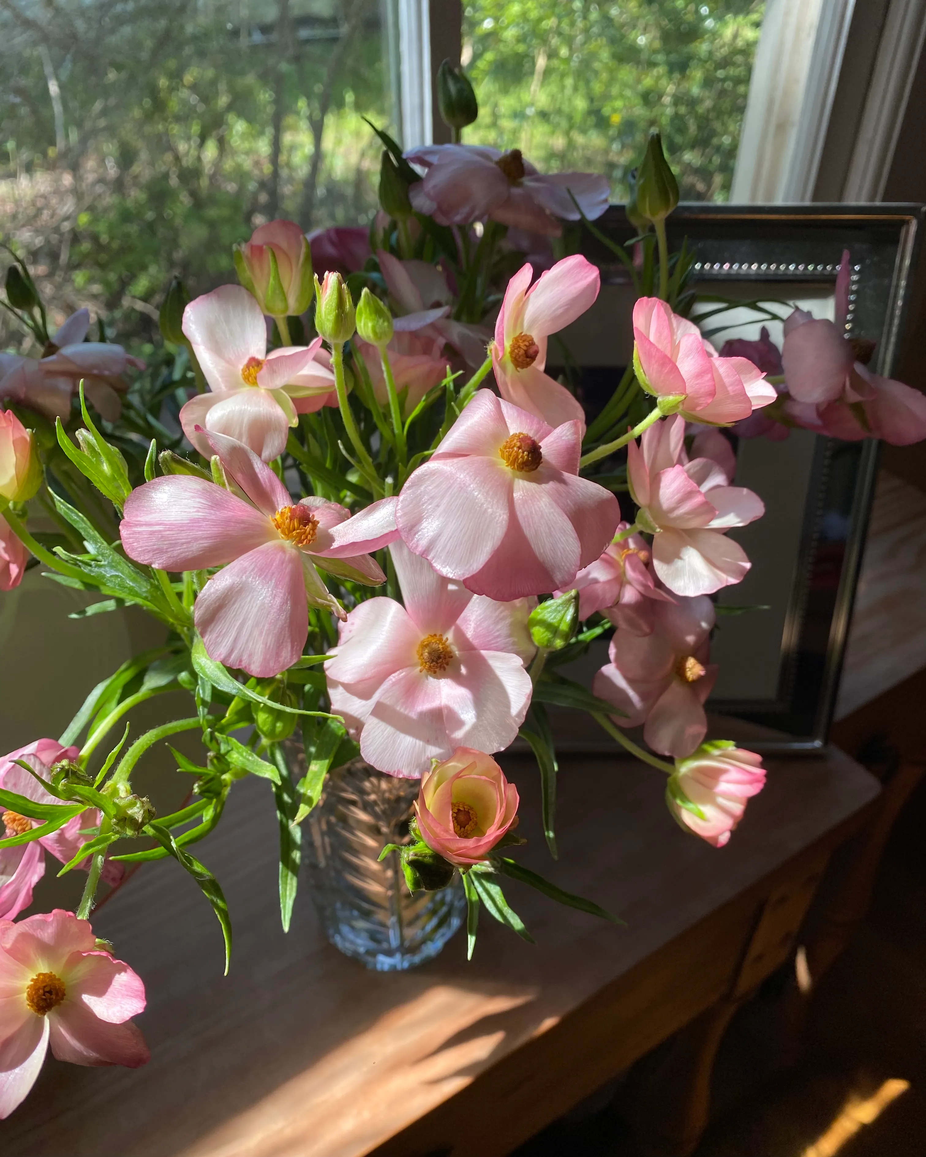 Sunshine coming in through the windows on flowers in a vase