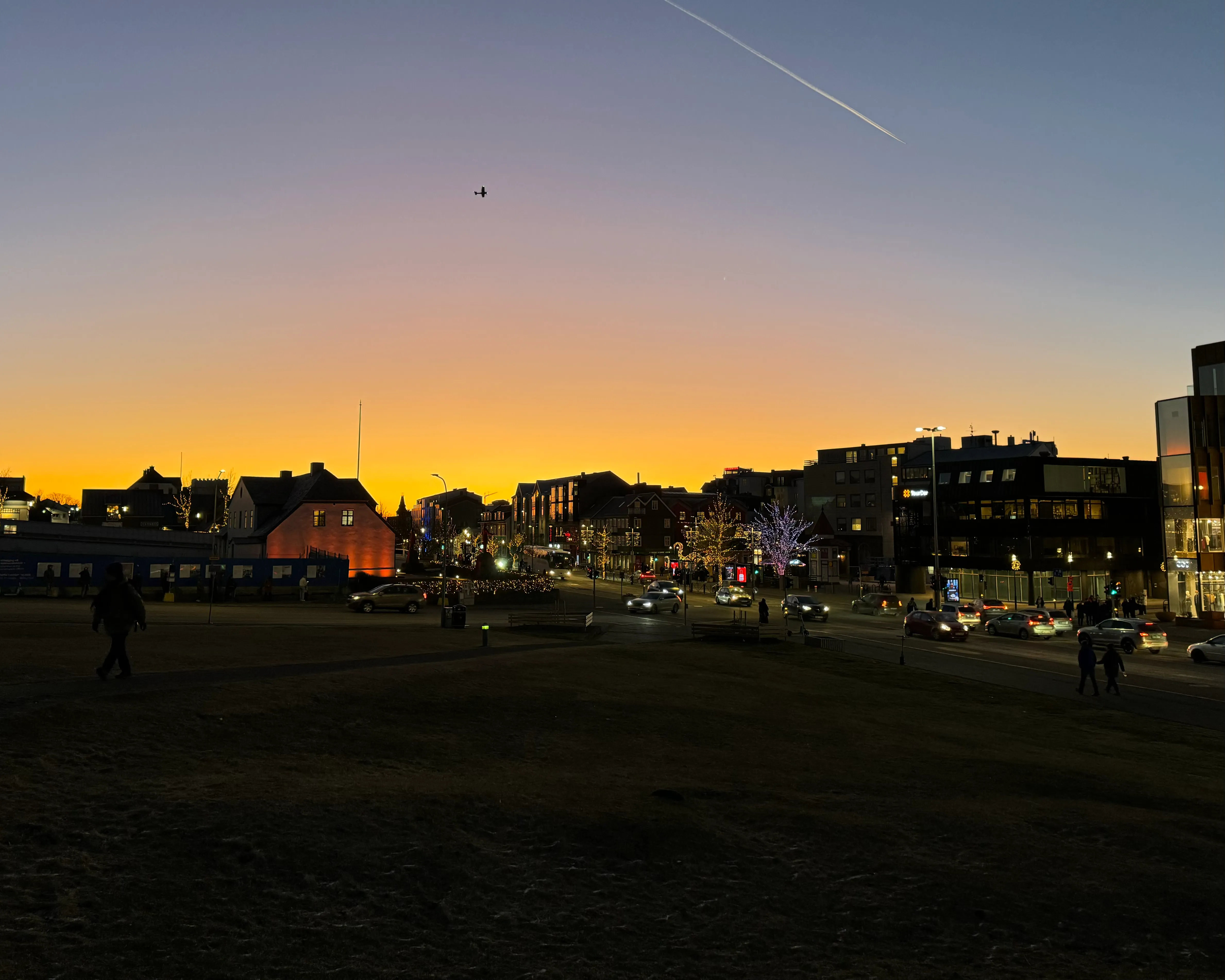 Sunrise over Christmas lights